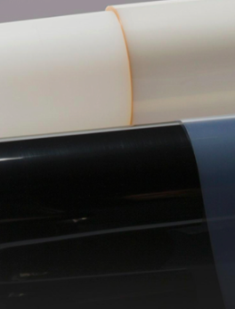 Proton Exchange Membranes