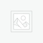 quis nostrud exercitation ullamco laboris nisi ut aliquip